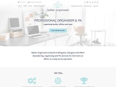 Professional Organiser Website web design webdesign