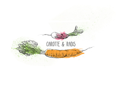 Carotte & Radis bio color illustration vegetables wip