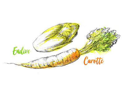 Carotte & Endive bio healthyfood lepotagerdesroy vegetables