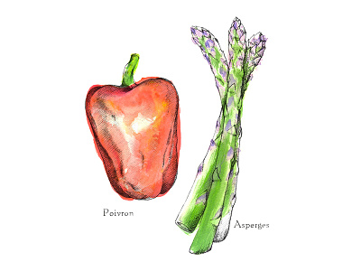 Poivron & Asperges bio food healthyfood illustration vegetables watercolor