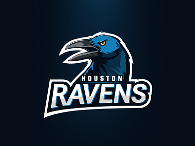 Houston Ravens (contest submission) basketball houston illustration logo mascote ravens