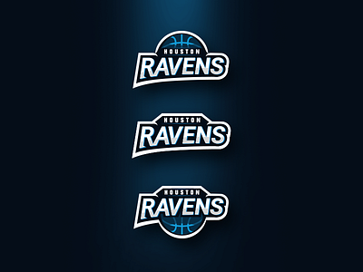 Houston Ravens (contest submission) 3 basketball houston illustration logo mascote ravens