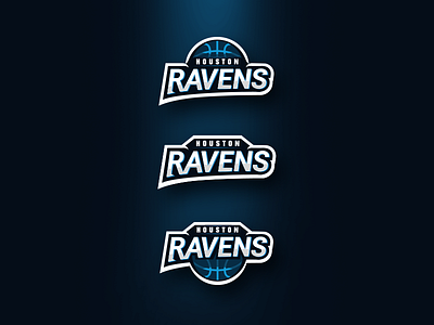 Houston Ravens (contest submission) 3