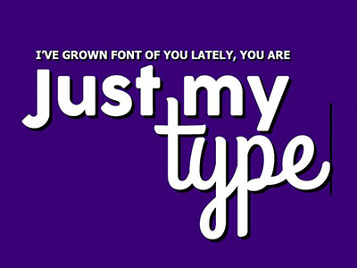 Just my Type graphic design designpuns typography