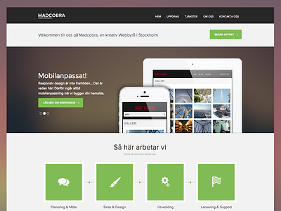Madcobra Website
