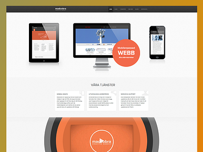 Madcobra Website agency creative graphic madcobra site webdesign website