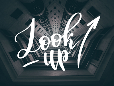 Look Up -> brush brush lettering city gradient lettering letters look typography urban words