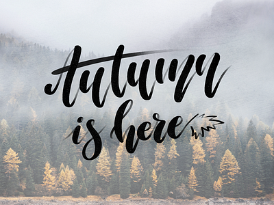 Autumn Is Here 🍁 autumn brush brush lettering forest gradient leave lettering letters typography words
