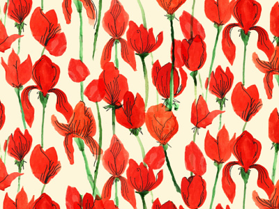 Fields of Red bold floral flowers illustration painting pattern pattern design surface pattern
