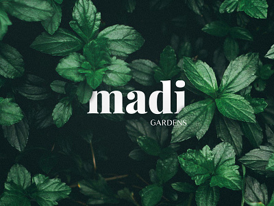 Madi Gardens elusive logo garden logo garden show garden show logo gardens green leaves nature nature logo professional serif simplistic