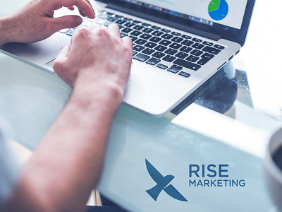 Rise Marketing bird logo blue business colour pallete freedom logo icon marketing marketing logo modern roi sas logo simplistic