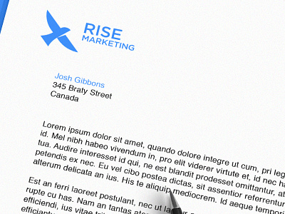 Rise Marketing Stationery bird logo blue business colour pallete freedom logo icon marketing marketing logo modern roi sas logo simplistic