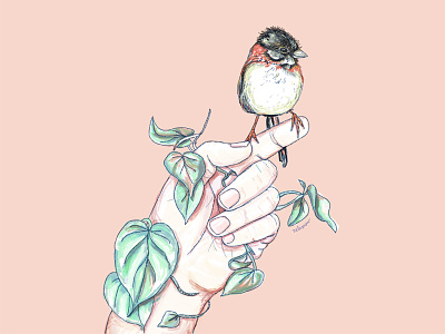 Mother bird digitalart hand illustration mother nature