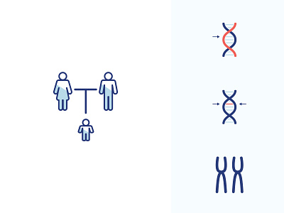 Genetic Icons design dna genetics hereditary icon icondesign iconset science science illustration