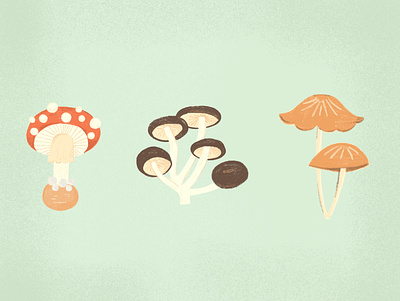 Mushrooms botanical color digital illustration mushrooms nature nature art