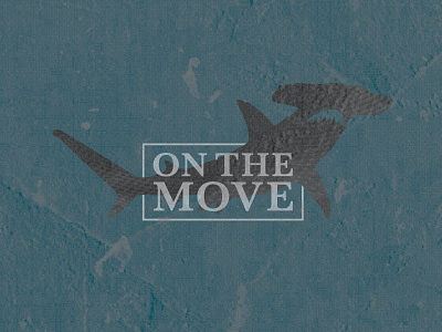 On the Move design illustration inspire marine shark texture type