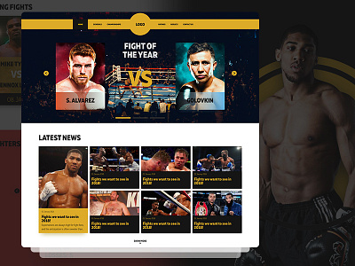 WBA Boxing Homepage Concept boxing clean clear minimal prestige ui webdesign website