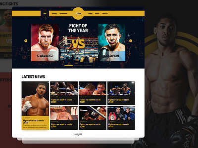 WBA Boxing Homepage Concept