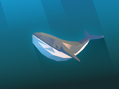 Poli Whale illustration