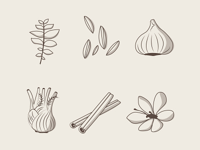 Spice Illustrations branding design icon illustration illustrator vector