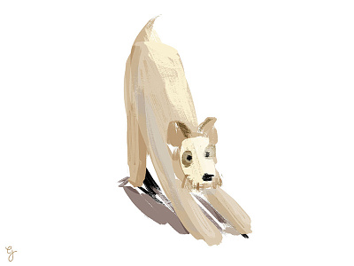 Tacos brush dog illustration