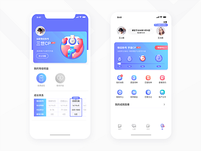 Matepay APP UI Page couple interface level user
