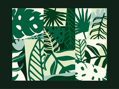 plants illustration vector