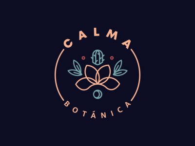 CALMA botanical brand branding cactus illustration logo nature pattern plant suculent tropical vector