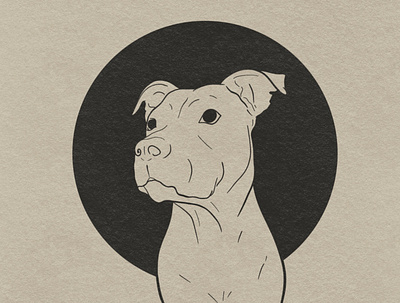 Rhea animal digitalart dog illustration pitbull procreate