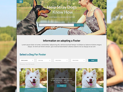 Indies - Select A Dog adopt a dog dogs indies manish stray stray dogs select dog web ux ui website