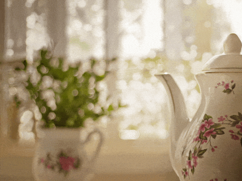 Tea pot panning adobe aftereffects adobe photoshop animation hot image tea teapot