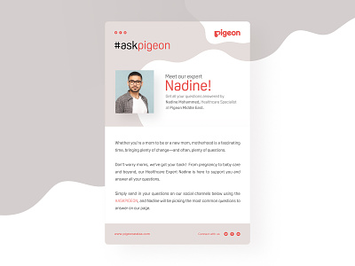 #askpigeon campaign emailer adobe illustrator adobe photoshop design emailer pigeon