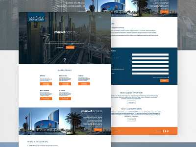 Dubai Chamber Landing page Design adobe illustrator adobe photoshop chamber dubai landingpage webdesign website