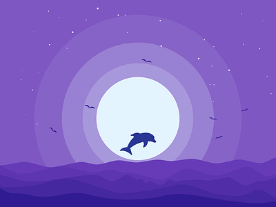 Night dolphin animal cloud daily design dolphin flat moon moonlight ocean rebound sea bird stars vector