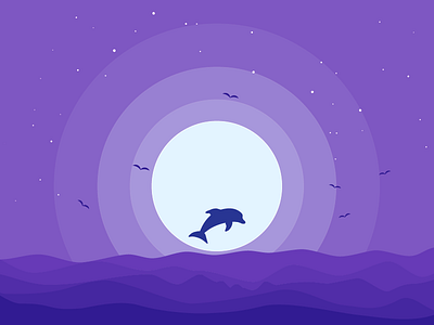 Night dolphin