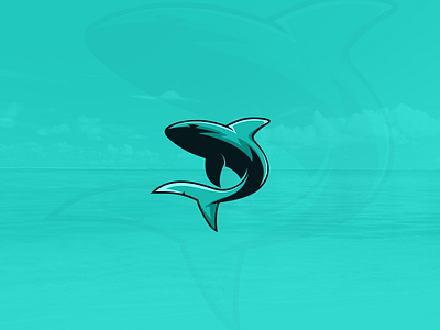 Shark logo brand branding design forsale graphicdesigns illustration logo logodesign shark vector