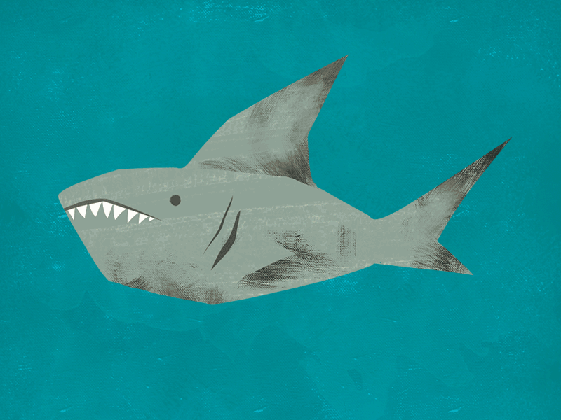 Sharks, Sharks, Sharks character design illustration photoshop shark