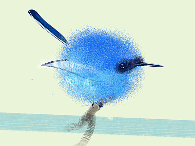 Tiny Blue Bird bird character design illustration