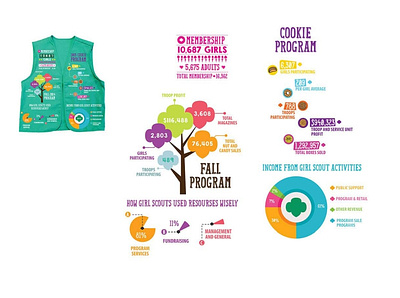 Infographic Design annual report girl scouts graphic design graphic designer illustration infographic infographic design infographics logo design