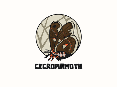 cecropiamoth