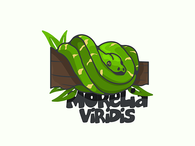 morelia viridis