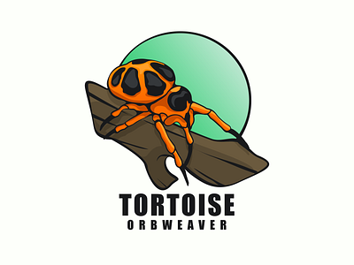 tortoise orbweaver animation branding design flat illustration logo spider typography ui ux vector