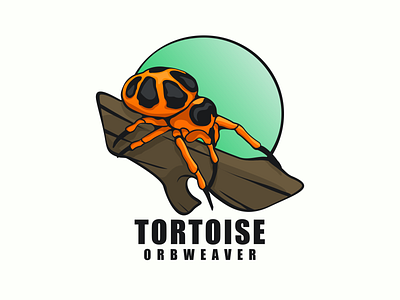 tortoise orbweaver