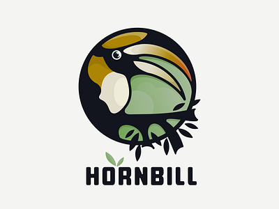 hornbill animation bird branding design flat hornbill illustration logo typography ui ux vector