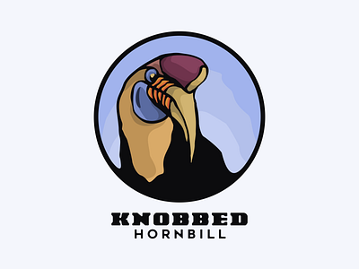 knobbed hornbill animation bird branding design flat hornbill illustration logo typography ui ux vector