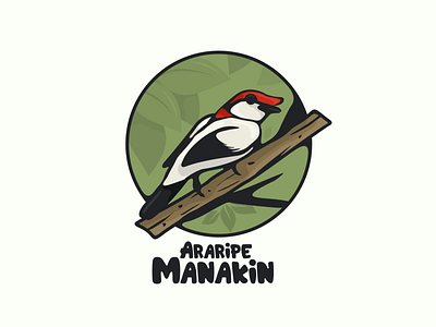 araripe manakin animation bird branding design flat illustration logo typography ui ux vector