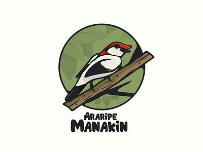 araripe manakin