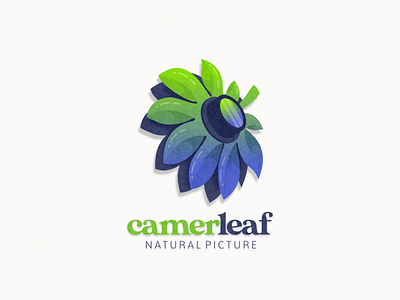 Leaf and camera logo combination animation branding camera design flat illustration leaf logo photo photography typography ui ux vector