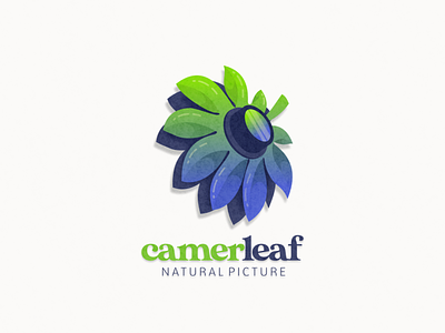 Leaf and camera logo combination