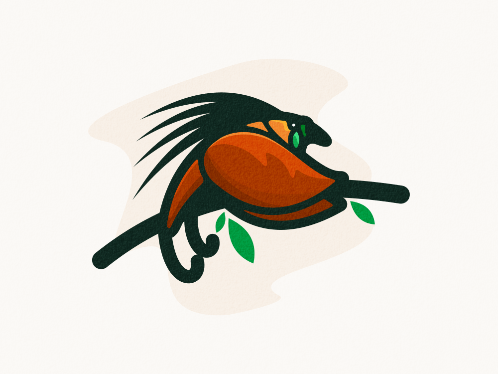 Cendrawasih bird by bernadif dion on Dribbble